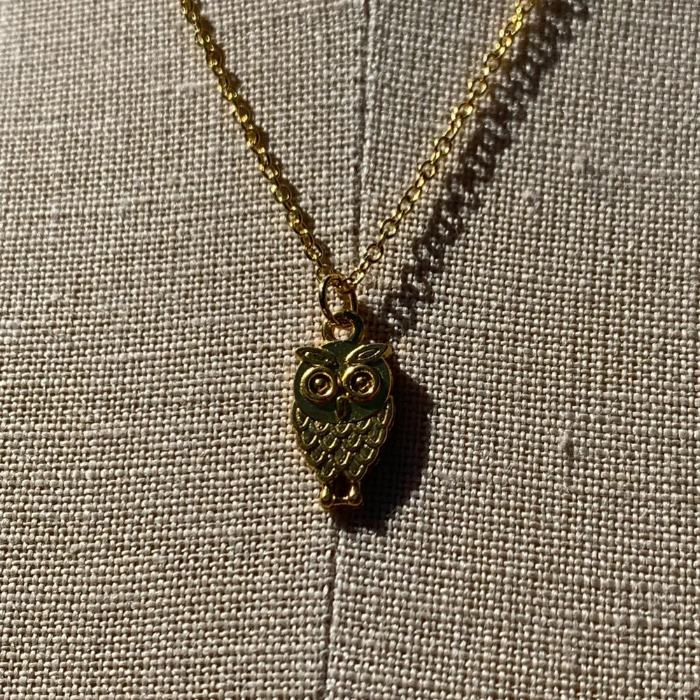 NWT Sterling Silver Plated Chain & Alloy Owl Charm Necklace - Picture 4 of 11
